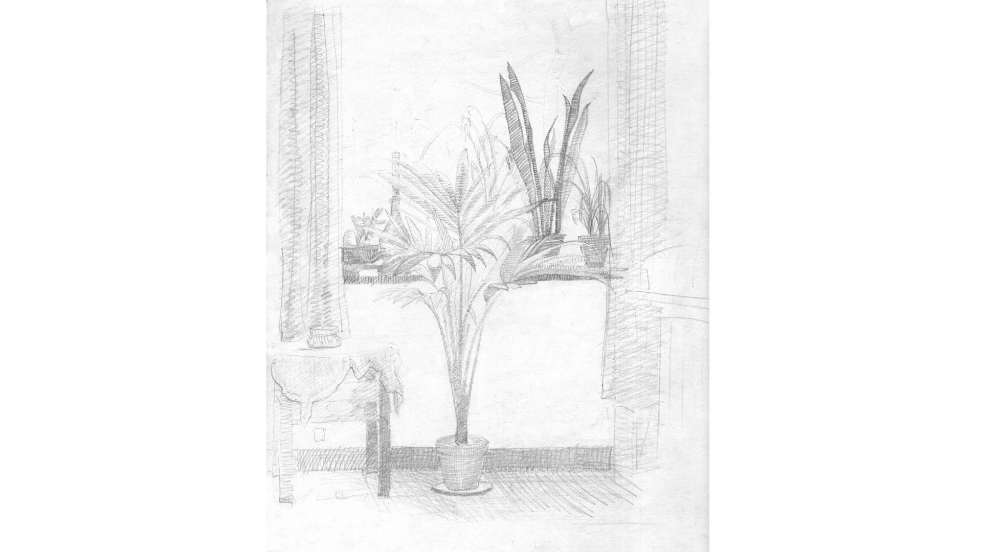 Fenster mit Palme